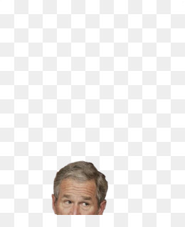 A Bush Fundo Png Imagem Png Baixar Habita O Grama Bush Png