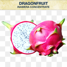 A Fruta Do Drag O Fundo Png Imagem Png Suco De Pitaia Fruto Da