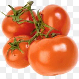 Baruipur De Jun O Fundo Png Imagem Png Ameixa Tomate Bush Tomate