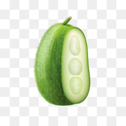 Pepino Realista Fundo Png Imagem Png Pepino Realista De Pepino