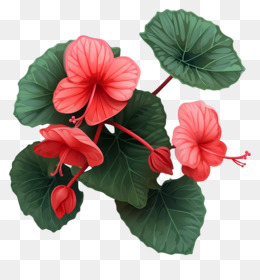 Manchas Vermelhas Nas Folhas Fundo Png Imagem Png Flor Da Haste