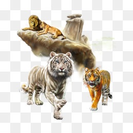 Leao Tigre Fundo Png Imagem Png Tigre Leao Pintura Em Aquarela Gato Leao Tigre Colecao Png Transparente Gratis