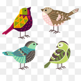 Pássaro Opila Vetor PNG , Desenho De Pássaro, Pássaro Bonito