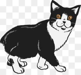 O Gato Preto E Branco Dos Desenhos Animados PNG , Gato, Preto E Branco,  Branco Imagem PNG e PSD Para Download Gratuito