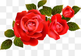 Featured image of post Rosas Vermelhas Png Vetor S o rosas vermelhas at que se manchem de sangue dai ser o s rosas manchadas de vermelho