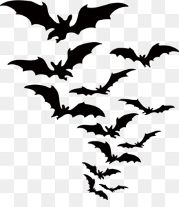 Banner Festa Halloween Grupo Morcegos Papel Estilo Bonito Isolado Png  imagem vetorial de Phiradet.c© 420826838