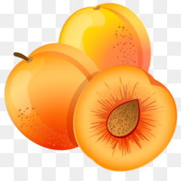 Damasco De Frutas PNG Imagens Gratuitas Para Download - Lovepik