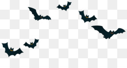 Feliz Caveira e Morcegos de Halloween PNG transparente - StickPNG