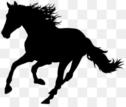 Cavalo de corrida preto PNG transparente - StickPNG