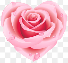 Pink background png & png image - Pétalo de flor - Pétalos de durazno, Fiesta, Flores, Decoración de otoño, Rosa creativa, Pétalos de boda, Pétalos de rosa png transparente gratis