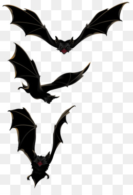 Ilustração De Halloween Bats PNG , Clipart De Morcego, Cbats, Morcegos  Pretos Imagem PNG e Vetor Para Download Gratuito