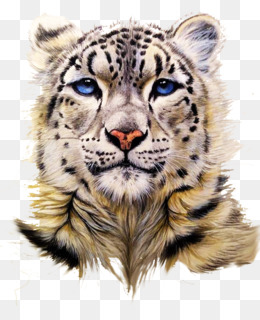 Fundo Base De Texto Em Inglês Personalizado Na Arte Da Pele De Leopardo  Animal Da Selva Foto E Imagem Para Download Gratuito - Pngtree