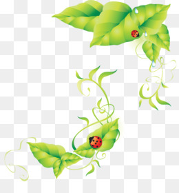 Joaninha Ladybug, HD Png Download - 770x982(#2522069) - PngFind