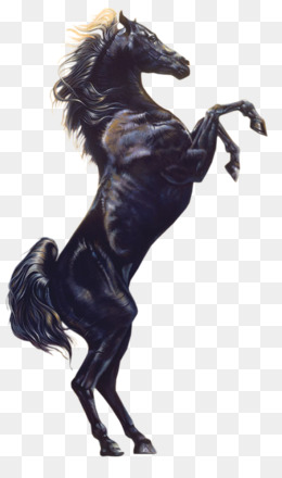 cavalo adesivo transparente png 27187659 PNG