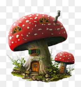 Cogumelo Amanita muscaria, casa de cogumelo, pintado, chapéu, mão png