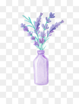 Lavanda fundo png & imagem png - Lavanda Desenho - lavanda png transparente  grátis