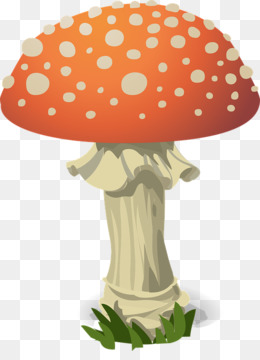 Cogumelo Amanita muscaria, casa de cogumelo, pintado, chapéu, mão png