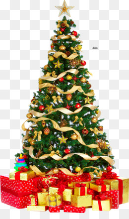 Vetor De Desenho De árvore De Natal 3d PNG , Fundo, Natal, Decoração Imagem  PNG e Vetor Para Download Gratuito