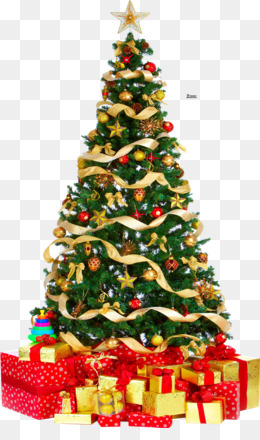 Desenho De árvore De Natal PNG , árvore De Natal, Pinheiro, Natal Imagem  PNG e PSD Para Download Gratuito