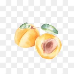 Damasco fruta não fundo 30809427 PNG