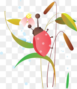 Ladybug PNG , Insect, Sete Material De Joaninha Estrela, Elementos Joaninha  PNG Imagem para download gratuito