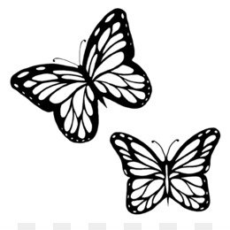 SVG > borboletas animal monarca esboço - Imagem e ícone grátis do SVG. |  SVG Silh