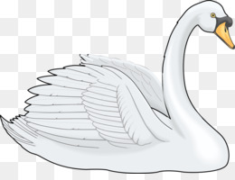 Desenhos Animados Pintados à Mão Em Aquarela Cisne Grande Ganso Branco PNG  , Desenho Animado, Pintado à Mão, Ilustração Imagem PNG e PSD Para Download  Gratuito