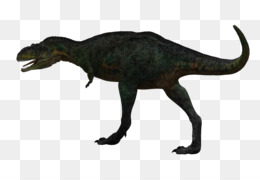 Baixe Ilustração de dinossauro Tyrannosaurus rex de desenho animado PNG -  Creative Fabrica