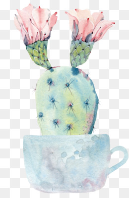 Cacto e vaso, Cactaceae Pintura em aquarela Desenho Euclidiano, Jane pen  cacto, branco, texto, coração png