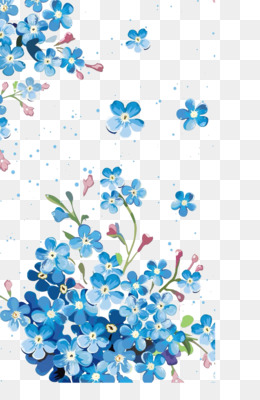 Flor Azul fundo png & imagem png - Flor 1080p Clip-art - Flor azul  fronteira textura png transparente grátis