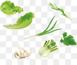 U7dd1u9ec4u8272u91ceu83dc Fundo Png Imagem Png Espinafre Verde Vegetais Verdes Salsa Ervilhas Vetor De Legumes Png Transparente Gratis