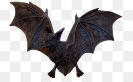Asa De Morcego fundo png & imagem png - Bat Wing Clip-art - Uma variedade de  posições de asas de morcego png transparente grátis