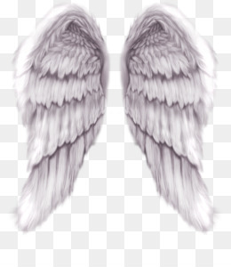 Pap Is De Parede Fundo Png Imagem Png Asa De Anjo De Cor Asas Decorativo Padr O