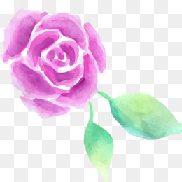 Rose Folhas Verdes fundo png & imagem png - As rosas do jardim Centifolia  rosas pintura em Aquarela - Aquarela flores png transparente grátis