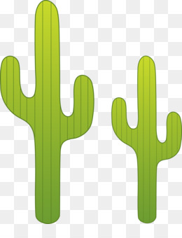 Cactus. Кактус. PNG. em 2023  Arte com cactos, Cactos desenho, Ilustrações