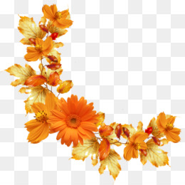 Featured image of post Circulo De Flores Laranja Png O laranja apresenta a luminosidade do amarelo e a impulsividade do vermelho