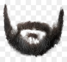 Barba fundo png imagem png Barba Clip art Barba png