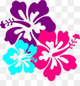 Flor Havaiana fundo png & imagem png - Flor havaiana Clip-art - Flor De  Hibisco Desenhos png transparente grátis