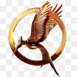 Katniss Everdeen Livro de colorir Jogos Vorazes Desenho Mockingjay