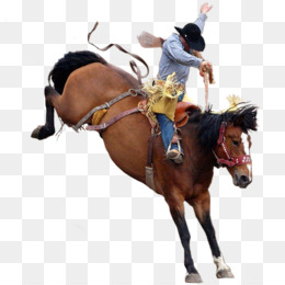 Fundo Vaqueiro Cavalga Cavalo De Rodeio Contrariado Competidor Do País Foto  E Imagem Para Download Gratuito - Pngtree