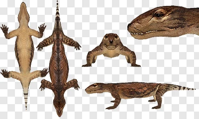 Thrinaxodon fundo png & imagem png - Dicynodont Synapsid De Mamíferos ...