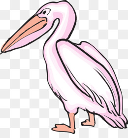Pelicano, Desenho, Aves png transparente grátis