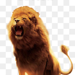 Aslan-narnia  Pintura de leão, Imagem deus, Tatuagem de leão