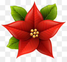 Flor Do Natal fundo png & imagem png - Design Floral Natal pintura em  Aquarela Clip-art - Aquarela de Natal decoração de flores png transparente  grátis