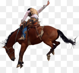 Fundo Vaqueiro Cavalgando Cavalo De Rodeio Corda Extrema Movimento Extremo  Foto E Imagem Para Download Gratuito - Pngtree