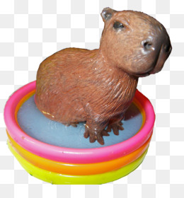 fofa capivara, desenho animado em transparente fundo, ai gerado 24822304 PNG