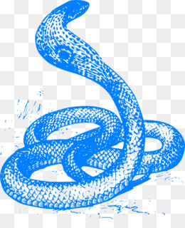 Desenho de cobra, cobra, azul, animais, cor png