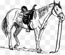 Desenho De Cavalo Dos Desenhos Animados Livro Colorir Jogo Zoológico Rural  Vetor PNG , Desenho De Cavalo, Desenho De Carro, Desenho De Desenho Animado  Imagem PNG e Vetor Para Download Gratuito