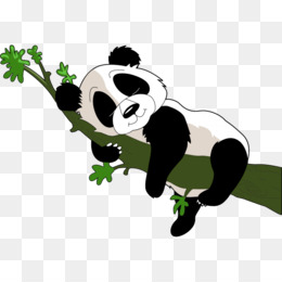 Pandas Dos Desenhos Animados PNG Imagens com fundo transparente