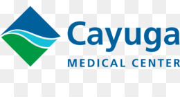 Cayuga Centro Médico Fundo Png & Imagem Png - Cayuga Médica Do Centro ...